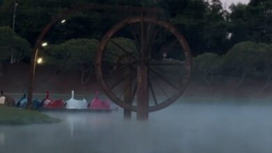 Paisagem fria em Jataí, Goiás, com termômetro marcando 8 ºC.