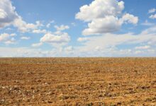 Imagem de uma área rural em Goiás sob céu nublado, simbolizando os preparativos para o Super El Niño.