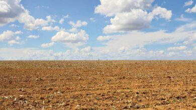 Imagem de uma área rural em Goiás sob céu nublado, simbolizando os preparativos para o Super El Niño.
