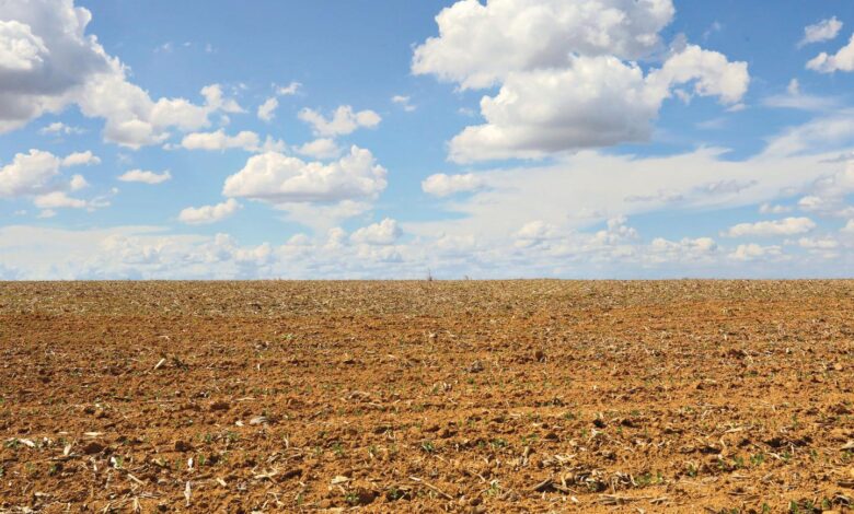 Imagem de uma área rural em Goiás sob céu nublado, simbolizando os preparativos para o Super El Niño.