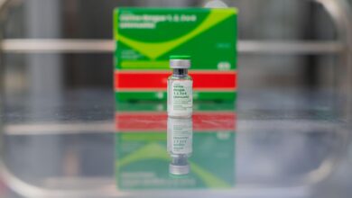 Frasco de vacina contra a dengue em fundo neutro.