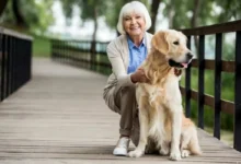 Idoso passeando com seu cachorro em um parque.