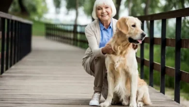 Idoso passeando com seu cachorro em um parque.