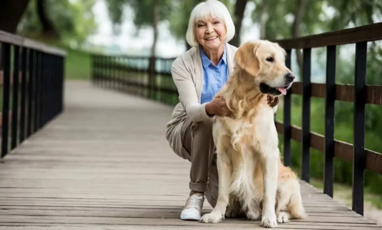 Idoso passeando com seu cachorro em um parque.