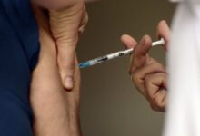 Frasco de vacina contra dengue do Instituto Butantan.