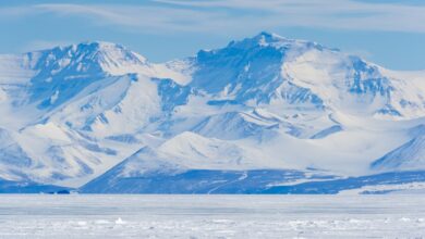 Vista aérea da Antártica, coberta por gelo.