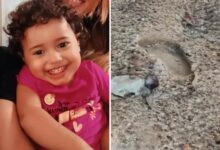 Policiais investigando área de fazenda onde menina foi encontrada morta.