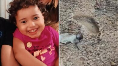Policiais investigando área de fazenda onde menina foi encontrada morta.