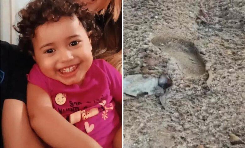 Policiais investigando área de fazenda onde menina foi encontrada morta.
