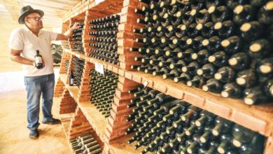 Vinhedos na Rota dos Pireneus, Goiás, com destaque para a produção de vinhos e queijos.