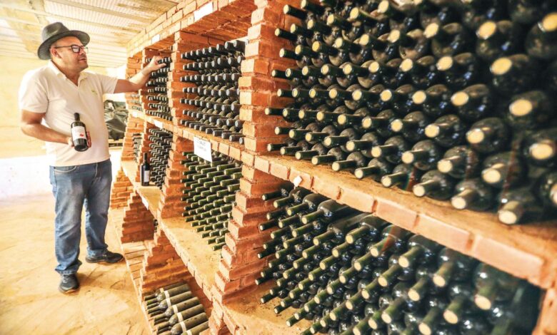 Vinhedos na Rota dos Pireneus, Goiás, com destaque para a produção de vinhos e queijos.