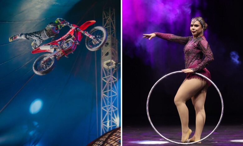 Espetáculo do Real Circo em Goiânia com tecnologia e sessões inclusivas.