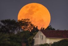 Lua de Morango com tom rosado no céu noturno de Goiás.
