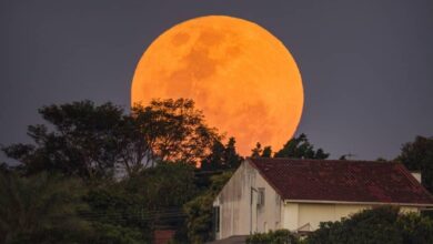 Lua de Morango com tom rosado no céu noturno de Goiás.