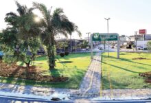 Máquinas e operários realizando transplante de árvores em praça de Goiânia.