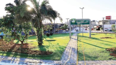Máquinas e operários realizando transplante de árvores em praça de Goiânia.