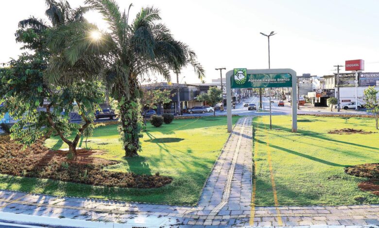 Máquinas e operários realizando transplante de árvores em praça de Goiânia.