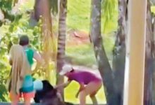 Grupo de pessoas em Pirenópolis organizando apoio comunitário.