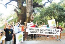 Grupo de pessoas reunido em uma área verde de Goiânia, em manifestação pacífica.