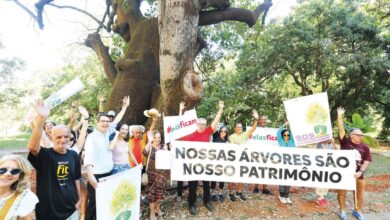 Grupo de pessoas reunido em uma área verde de Goiânia, em manifestação pacífica.