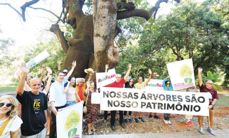Grupo de pessoas reunido em uma área verde de Goiânia, em manifestação pacífica.