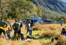Equipe de resgate atende piloto de parapente após queda em Goiás.