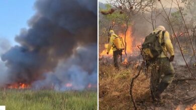 Incêndio florestal em área de vegetação seca em Goiás.