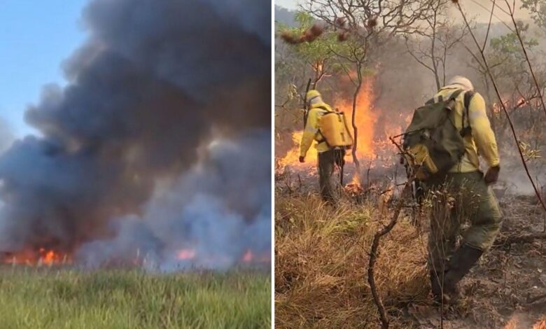 Incêndio florestal em área de vegetação seca em Goiás.