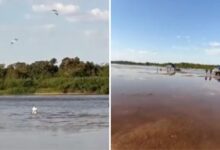 Bombeiros e voluntários em busca de homem desaparecido no Rio Araguaia.
