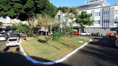 Praça urbana em Goiânia com árvores e bancos.