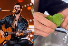 Gusttavo Lima com os filhos resgatando um periquito.