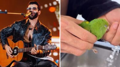 Gusttavo Lima com os filhos resgatando um periquito.