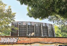 Parque público em Goiânia com pessoas passeando e árvores ao fundo.