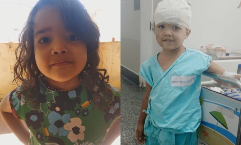 Menina de 4 anos hospitalizada após ataque de pit bull em Goiânia.