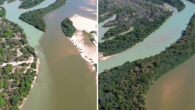 Encontro das águas dos rios Araguaia e Cristalino, com contraste visível entre as correntes.