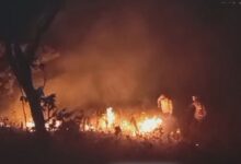 Bombeiros e voluntários tentam apagar chamas em Goiás.