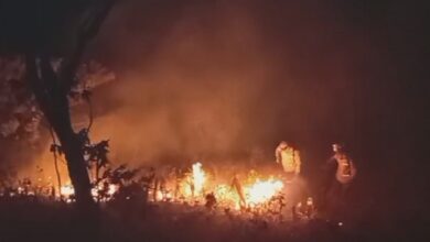 Bombeiros e voluntários tentam apagar chamas em Goiás.