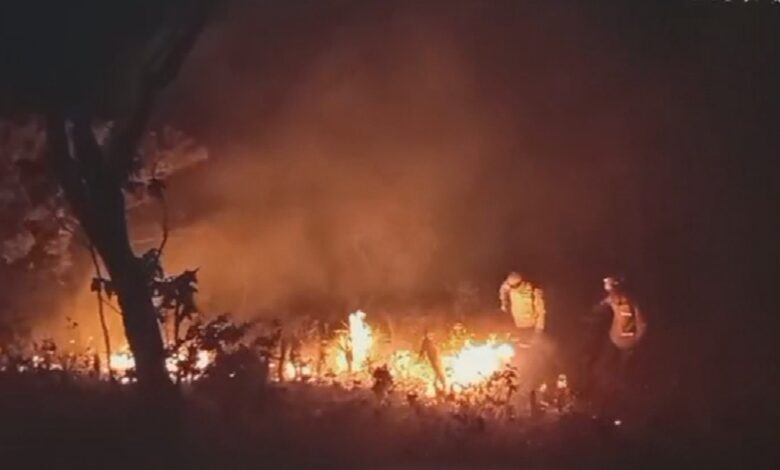 Bombeiros e voluntários tentam apagar chamas em Goiás.