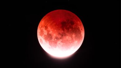 Imagem da Lua de Sangue durante o eclipse lunar em Goiás, capturada por um astrofotógrafo.