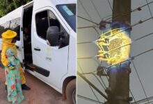 Ataque de abelhas atinge alunos da Apae em Goiás.