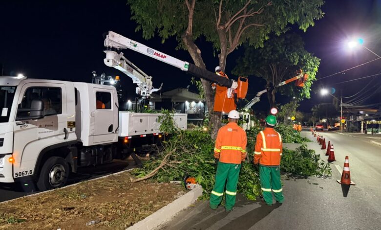 Equipe da Comurg realizando poda de jamelões em avenida de Goiânia.