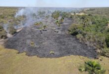 Área queimada por incêndios florestais em Goiás.