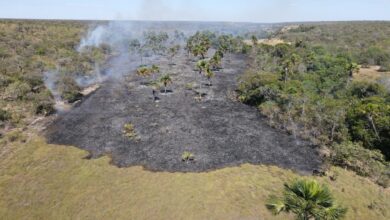 Área queimada por incêndios florestais em Goiás.