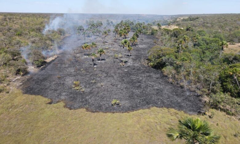 Área queimada por incêndios florestais em Goiás.