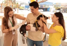 Veterinário aplicando vacina em cão durante campanha de vacinação em Aparecida de Goiânia.