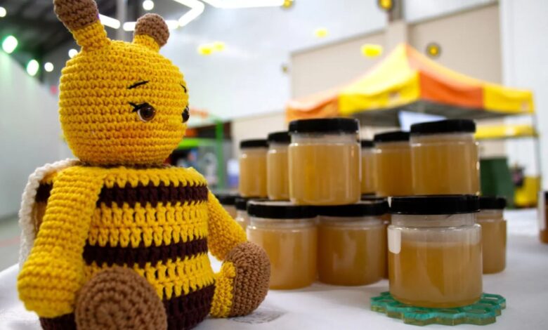 Estandes do Projeto Raízes em Goiânia com expositores e visitantes.
