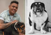 Felipe Araújo segurando seu cachorro Mirosmar.