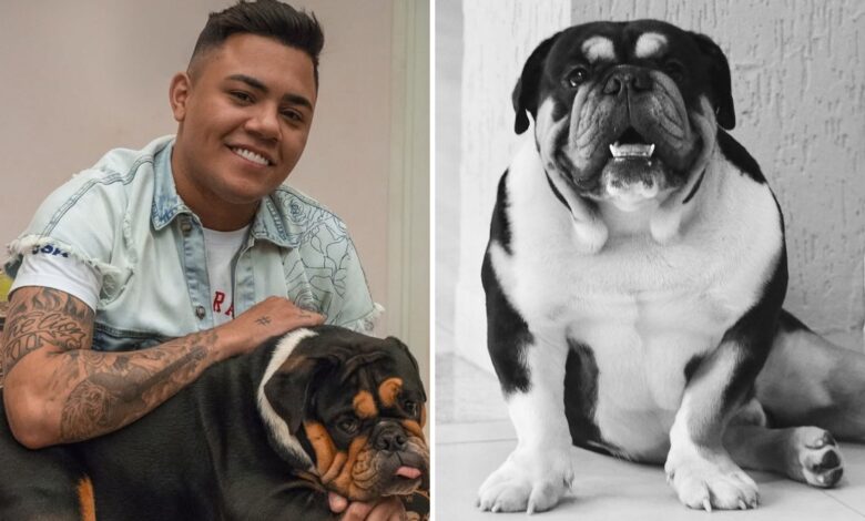 Felipe Araújo segurando seu cachorro Mirosmar.