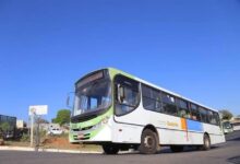 Ônibus usados estacionados, prontos para integrar a frota do transporte coletivo de Goiânia.