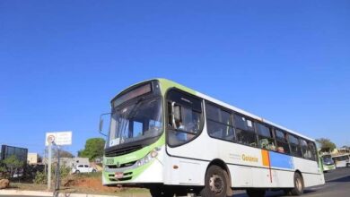 Ônibus usados estacionados, prontos para integrar a frota do transporte coletivo de Goiânia.